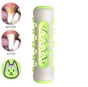 Dog Dental Toothbrush Chew Toy product photo 11 at CovePaws