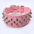 Large Dog Rivet Collar