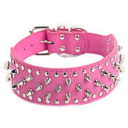 Large Dog Rivet Collar