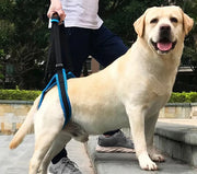 Pet Leg Support Brace
