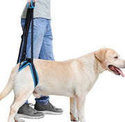 Pet Leg Support Brace
