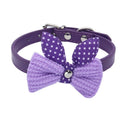 Wool Knitted Bow Pet Collar product photo 4 at CovePaws
