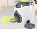 Interactive Slow Feeder Pet Toy