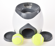 Interactive Slow Feeder Pet Toy