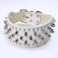 Large Dog Rivet Collar