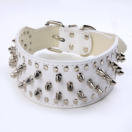 Large Dog Rivet Collar