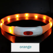 Luminous Pet Safety Collar
