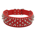 Large Dog Rivet Collar