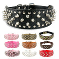 Large Dog Rivet Collar