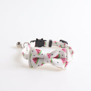 Fruit Print Cat Collar product photo 5 at CovePaws