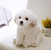 Soft Plush Dog Stuffed Toy product photo 4 at CovePaws