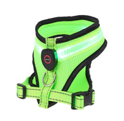 GlowPaws LED Dog Harness product photo 2 at CovePaws