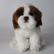 Soft Plush Dog Stuffed Toy product photo 11 at CovePaws