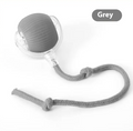 Rolling Fun Cat Toy Ball