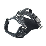 Durable Waterproof Pet Harness with Vertical Handle