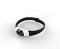 Rechargeable LED Cat Collar Toy product photo 2 at CovePaws