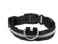 Rechargeable LED Dog Collar