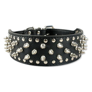 Large Dog Rivet Collar