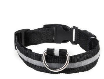 Rechargeable LED Dog Collar